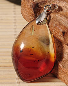 [ 媛翠坊 ] 天女散花天然琥珀红花珀水滴吊坠(附珠宝鉴定证书)